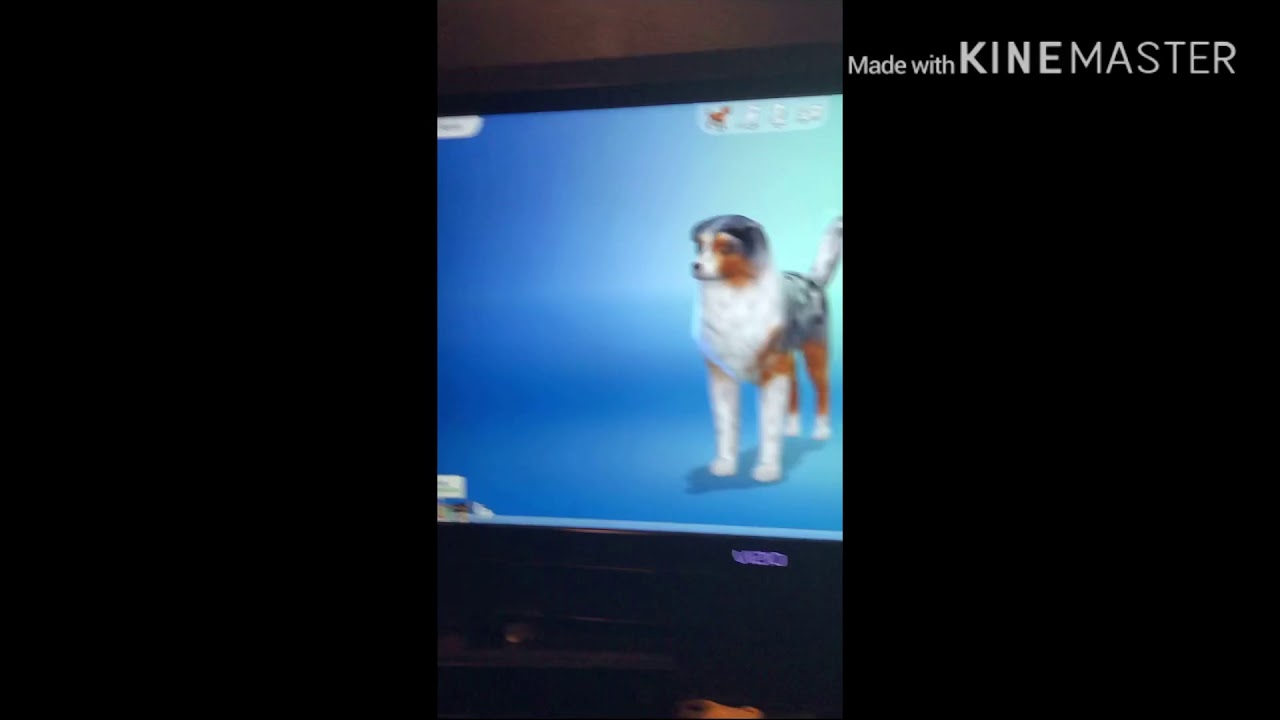 Sims 4 cats and dogs breeding