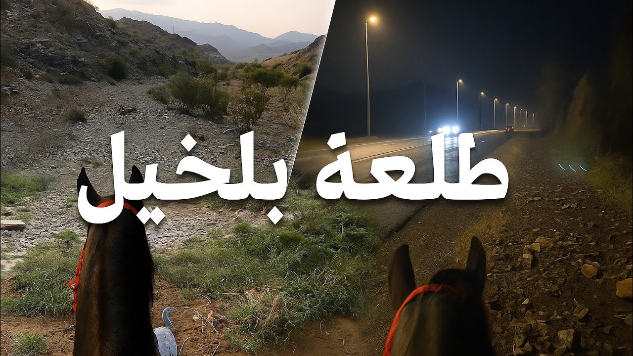 ️ طلعتنا اليوم بالخيل والمطر جانا فجأة 🔥
