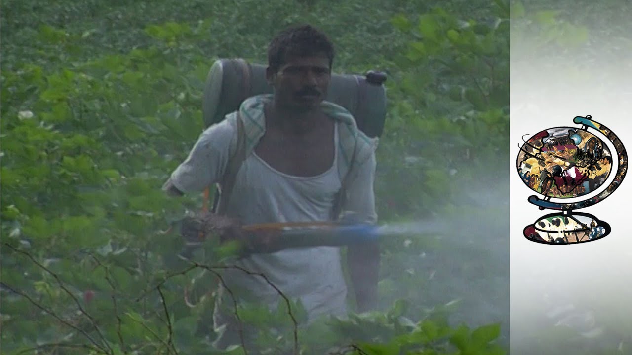 India's Lethal Farming Practices (2007)