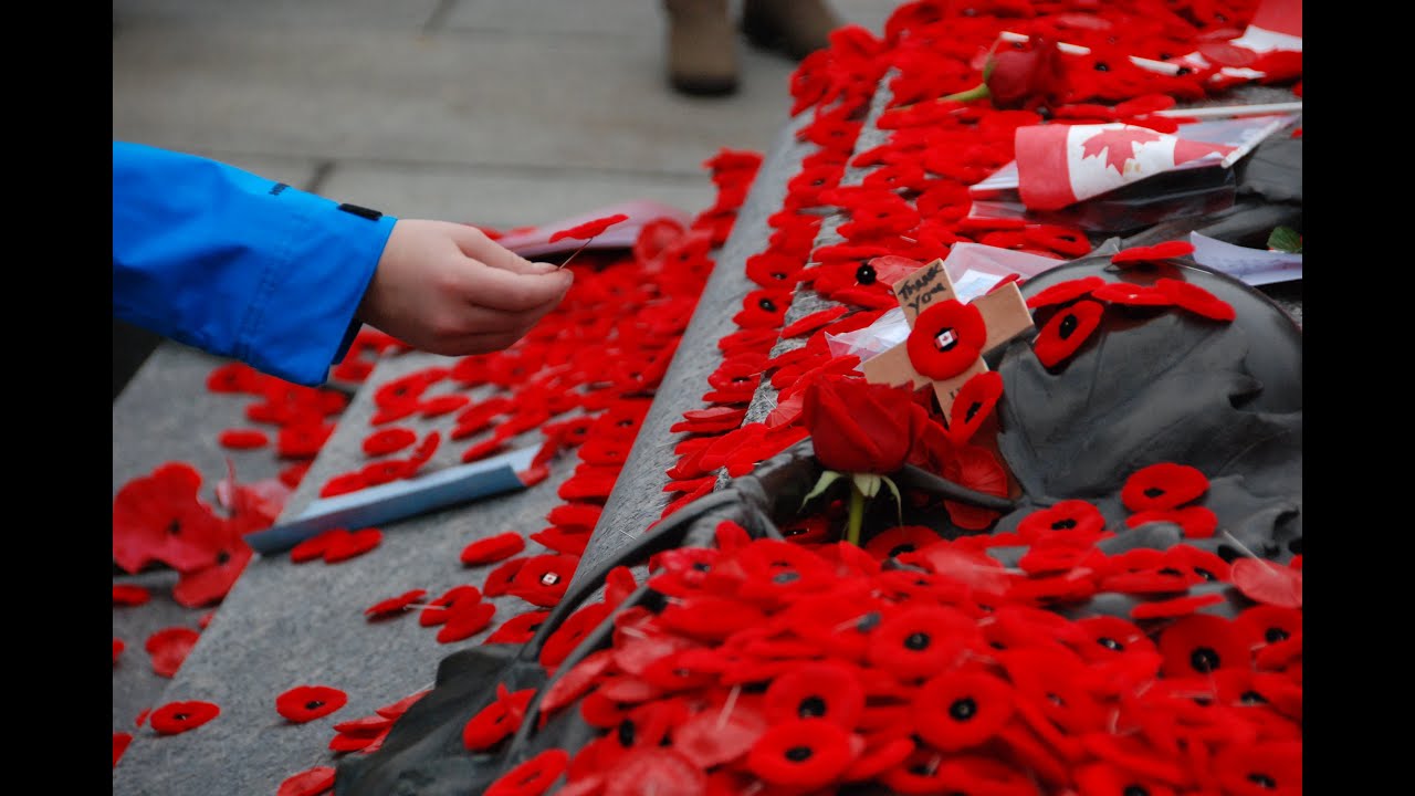 Their Dedication, Our Freedom &ndash; Remembrance Day 2025