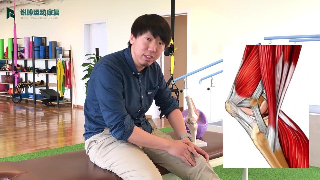 【内侧副韧带】膝关节内侧损伤，受伤后如何康复？