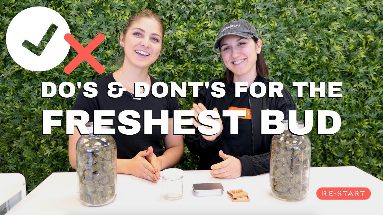 How to store your cannabis for the freshest bud | What NOT to do