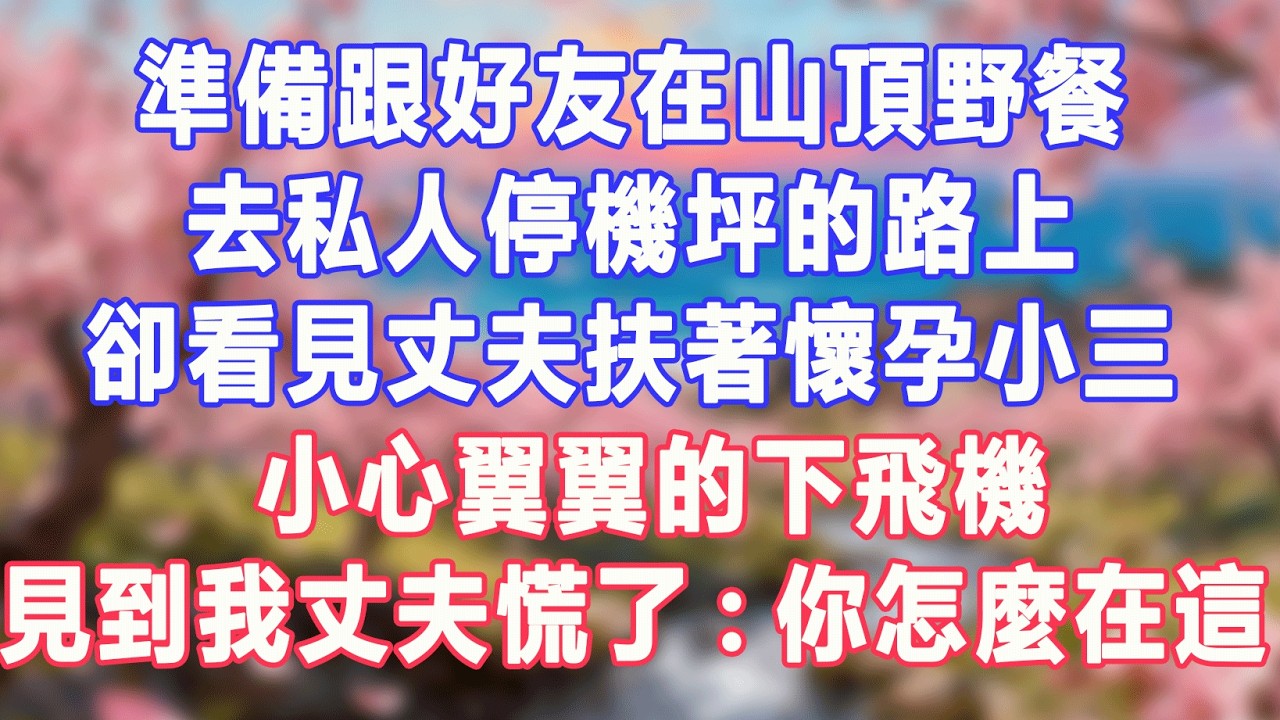 準備跟好友在山頂野餐，去私人停機坪的路上，卻看見丈夫扶著懷孕小三，小心翼翼的下飛機，見到我丈夫慌了：你怎麼在這裡?#盼盼講故事 #為人處世 #生活經驗 #情感故事 #晚年哲理 #說故事 #完結