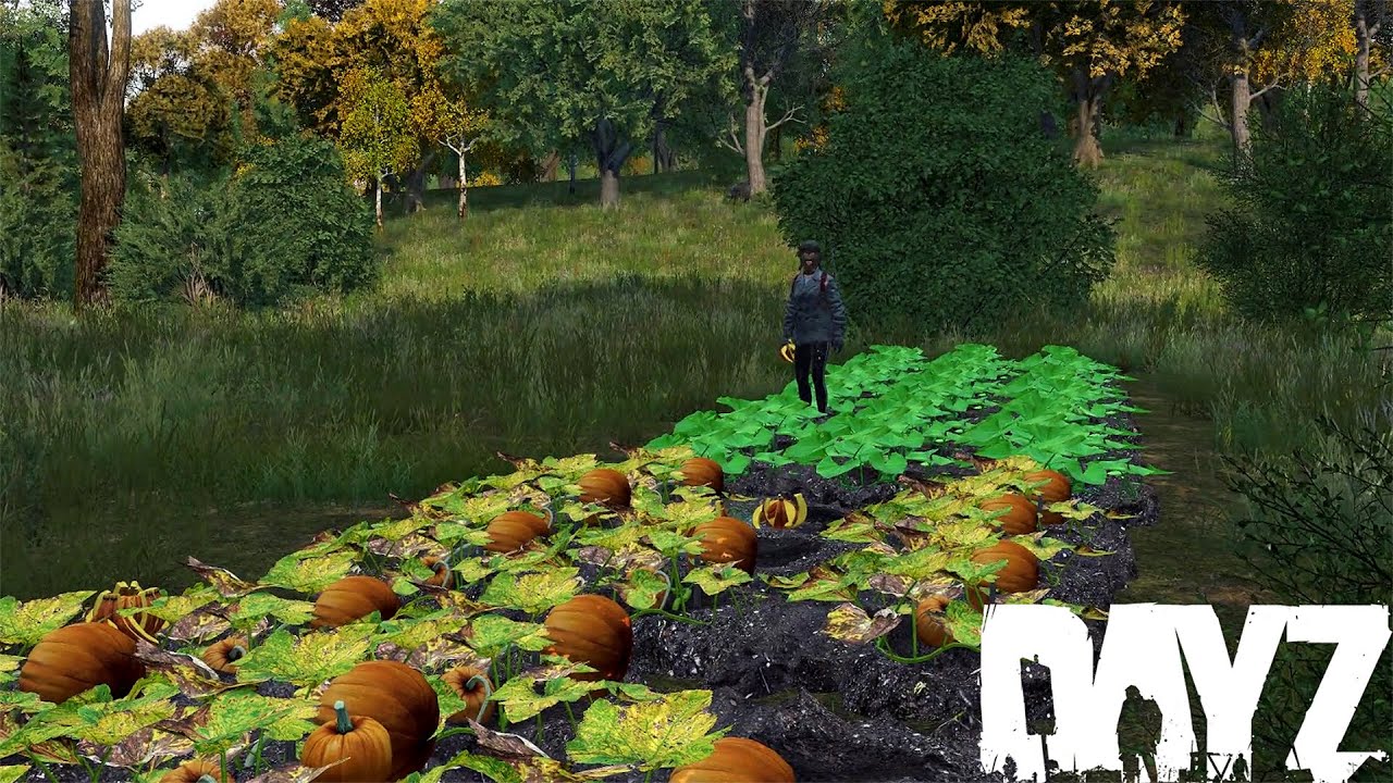 “Harvest” - DayZ Adventures With Random Survivors