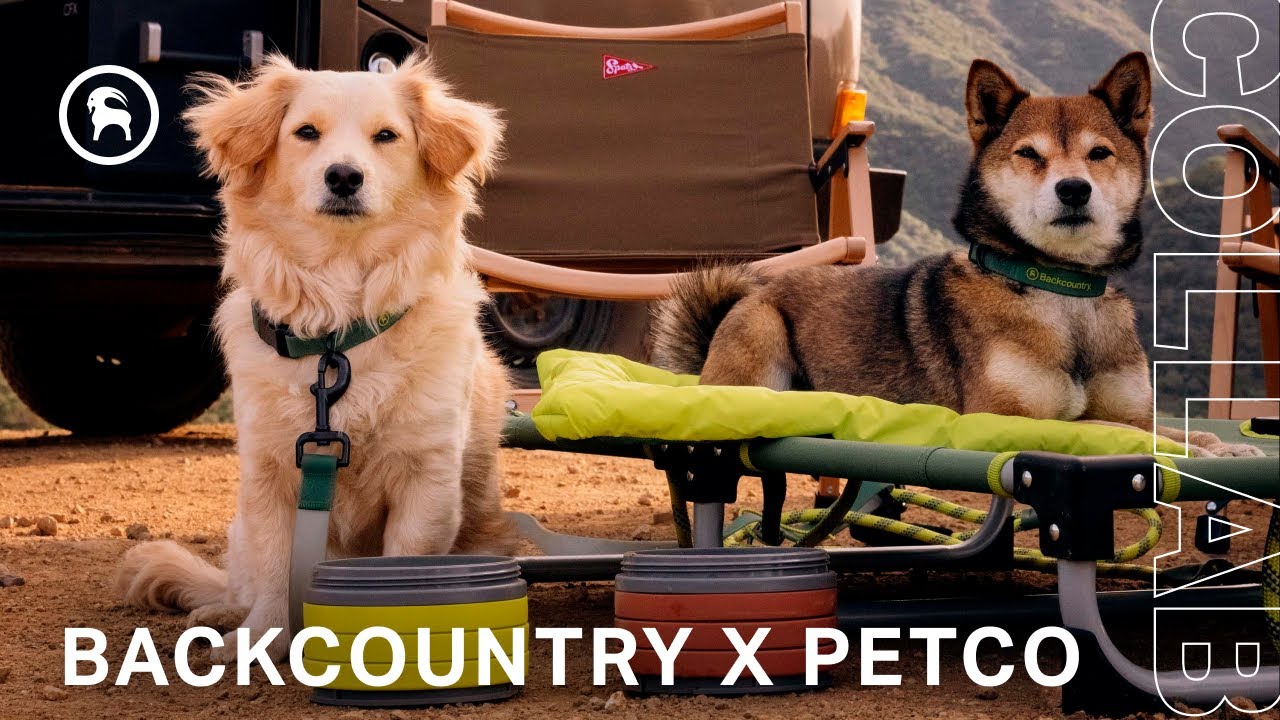 Adventure Dog Gear By Backcountry & Petco