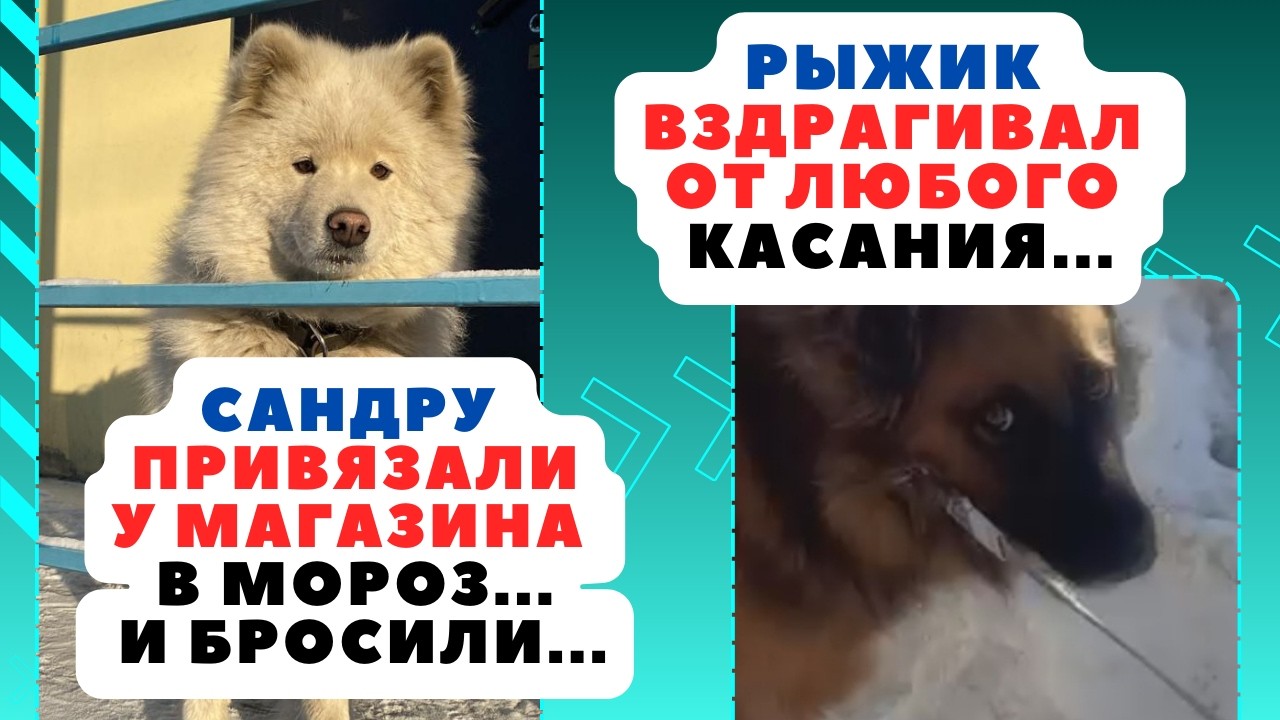 Мы на стопе! Фин-кураторы уходят, а долги растут!