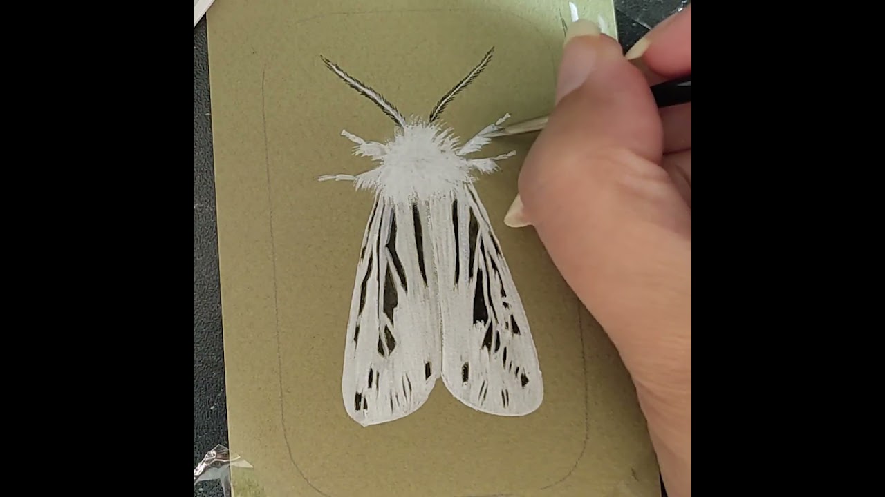 Tiny gouache and watercolor painting of a moth on toned paper