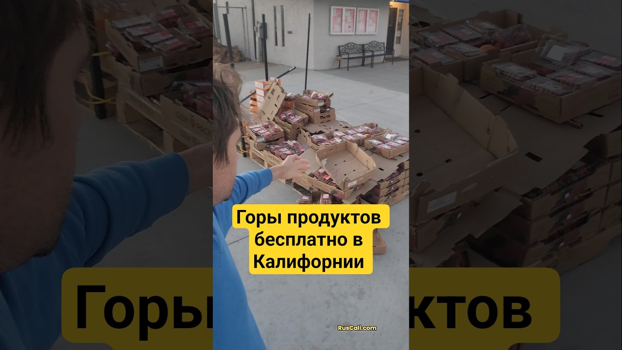 В Калифорнии закон обязывает продуктовые бизнесы раздавать еду людям бесплатно #калифорния #ruscali