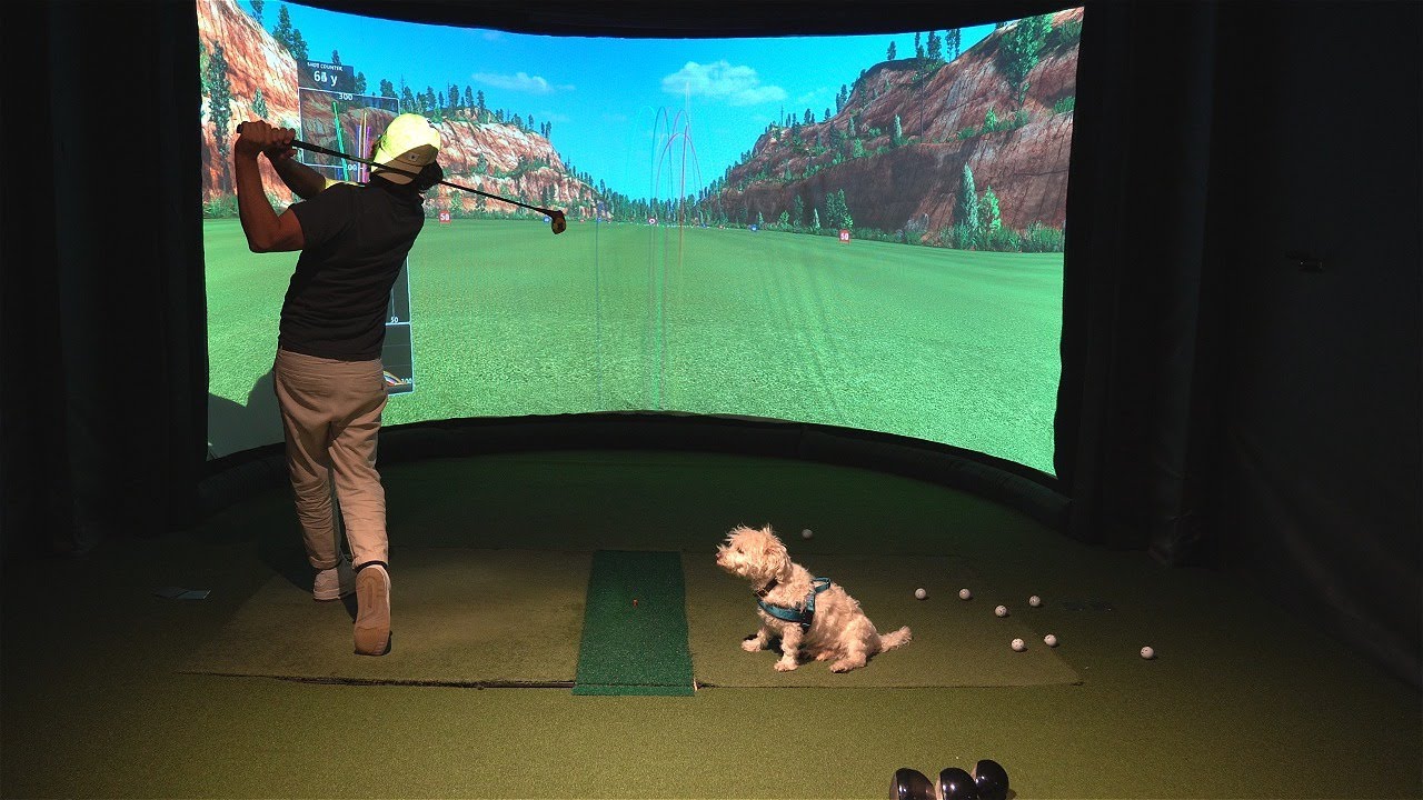 Persimmon vs modern driver test - done properly