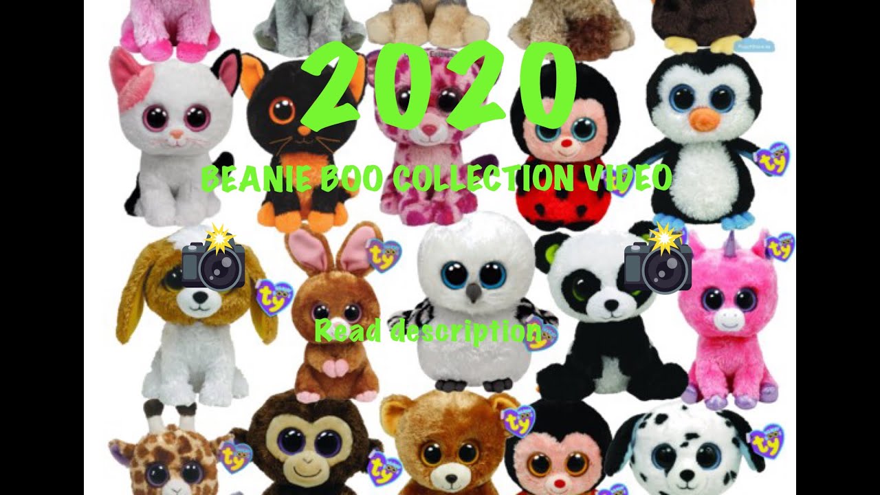2020 beanie boo collection video