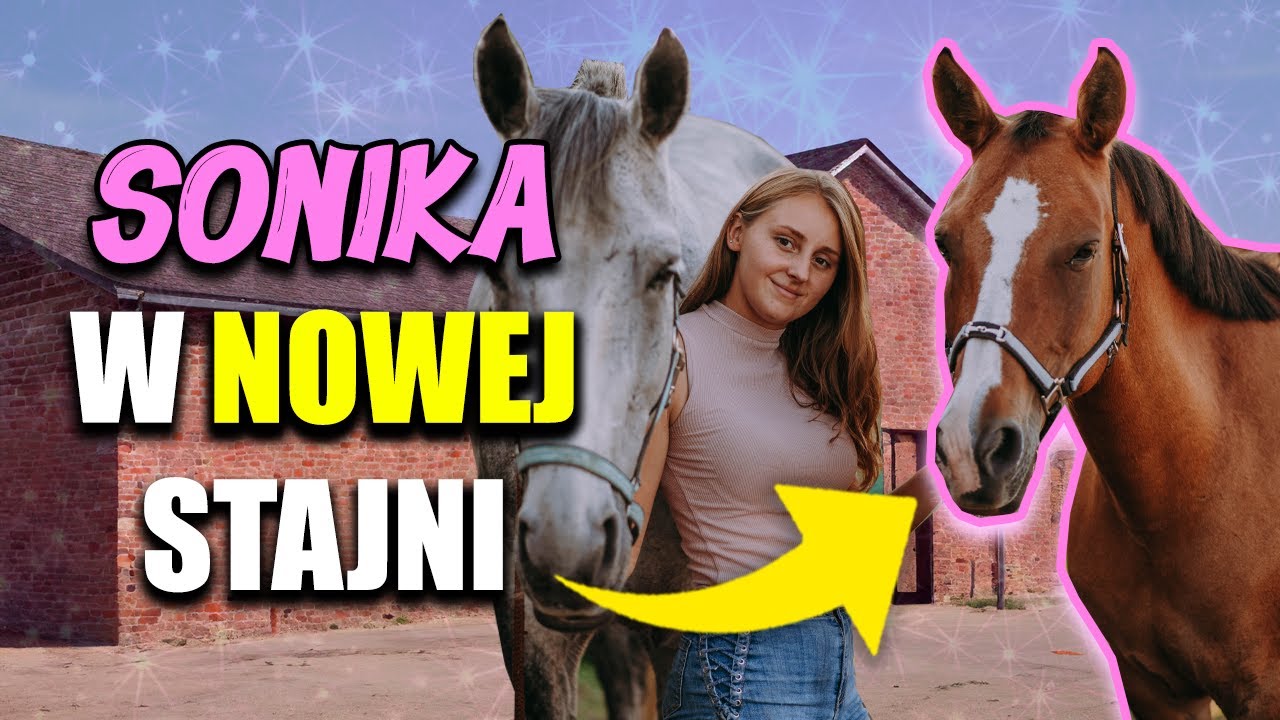 SONIKA POZNAJE NOWĄ STAJNIE 🐴🏠