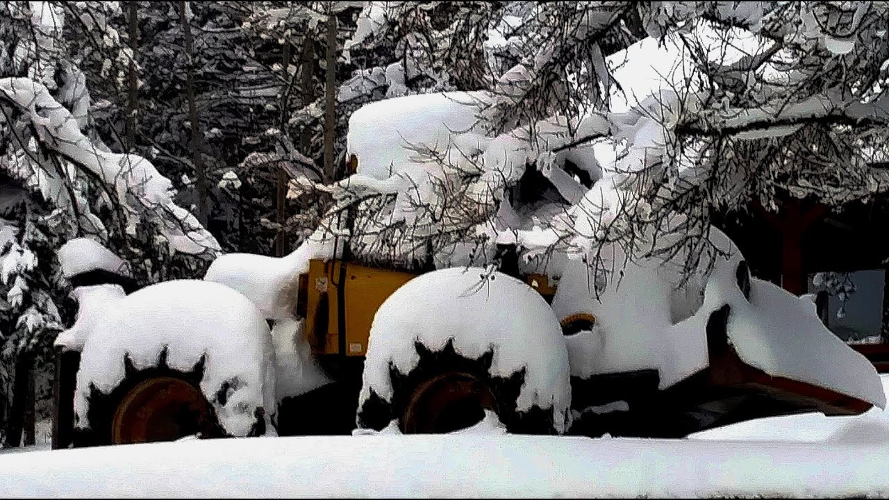 FORESTER Croatia &ndash; Best Moments 2018&ndash;2019