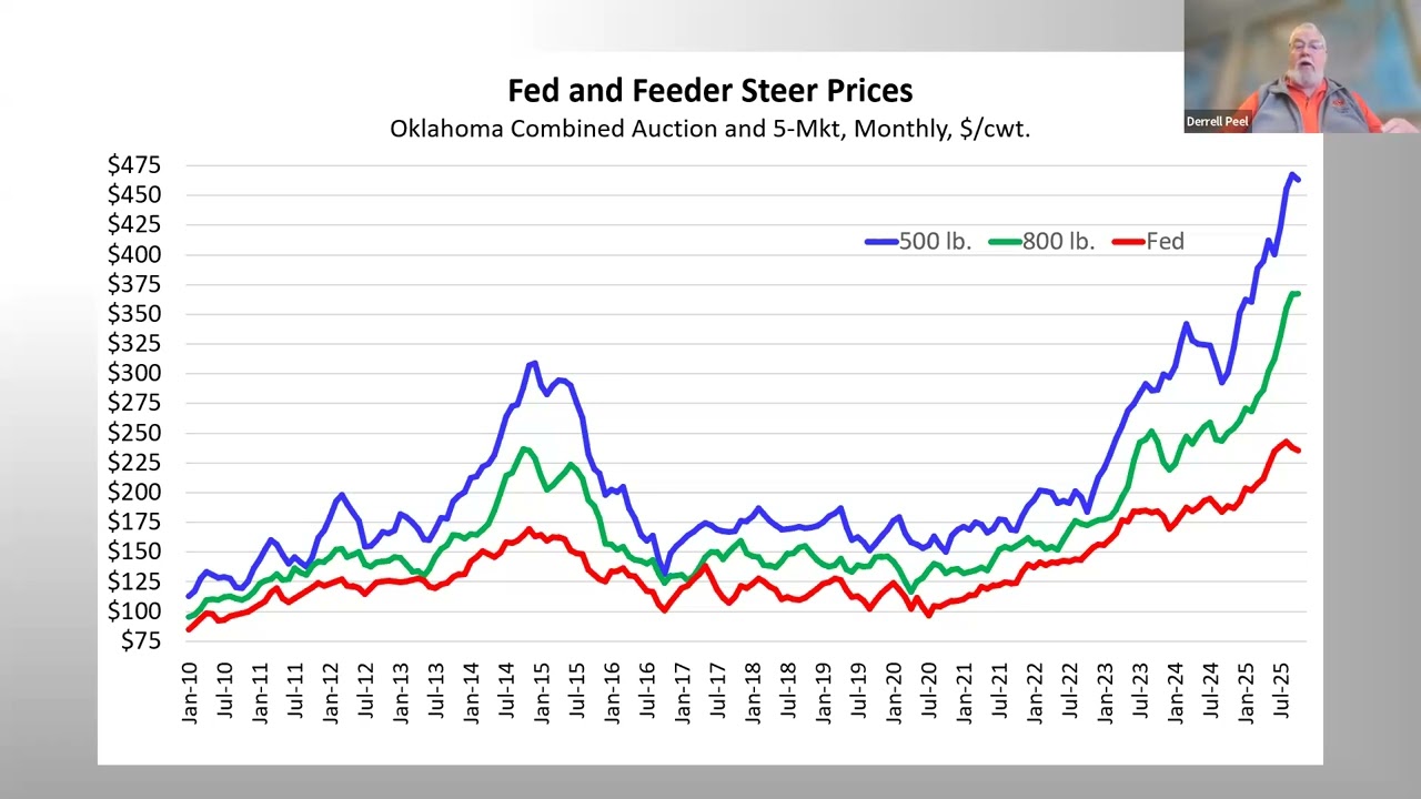 2025 Beef Market Outlook: Cow Herd Declines, Prices, Feedlot Trends & What’s Next