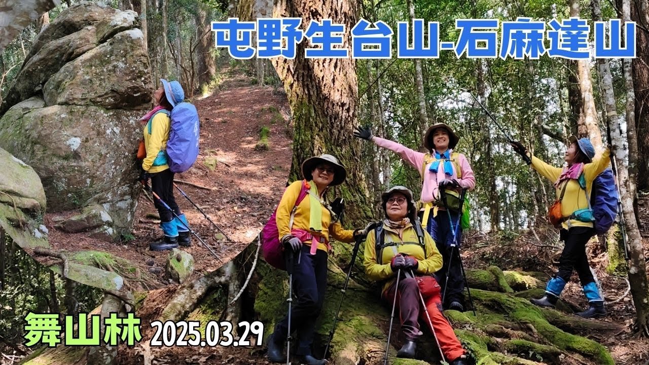 屯野生台山-石麻達山2025.03.29
