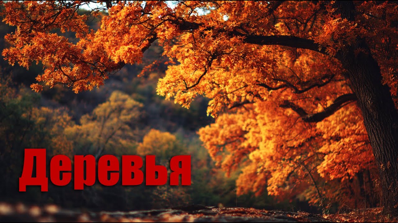 🎶 Николай Гумилёв. Деревья (Suno) [Lyric video]