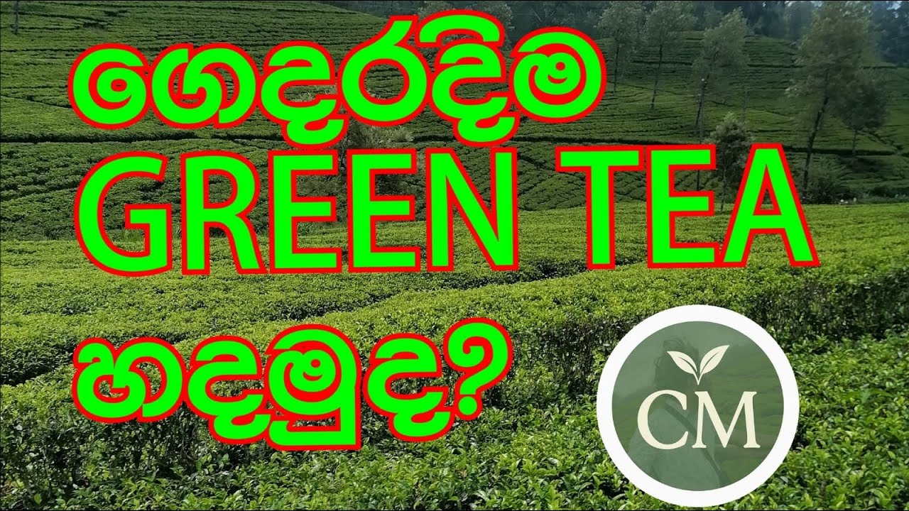 Green tea Manufacturing | ගෙදරදිම Green Tea හදමුද? | Hand made Tea | Ceylon tea production | හරිත තේ