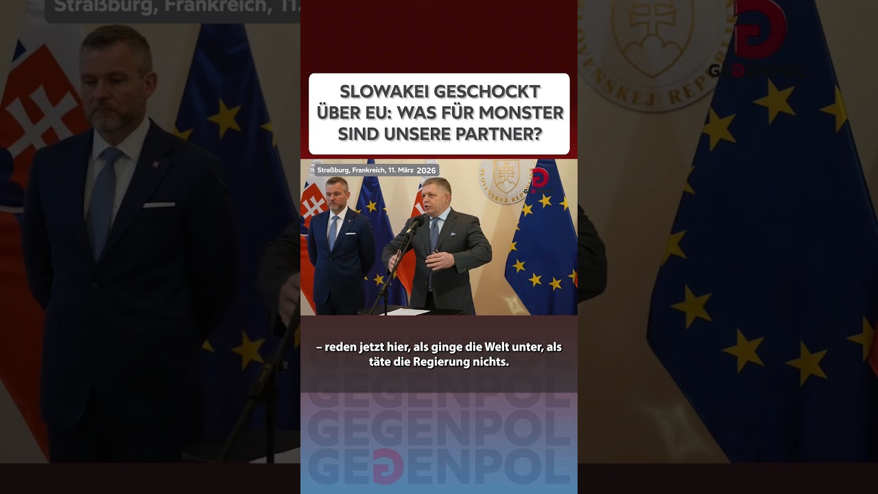 #fico  #slowakei  #energie