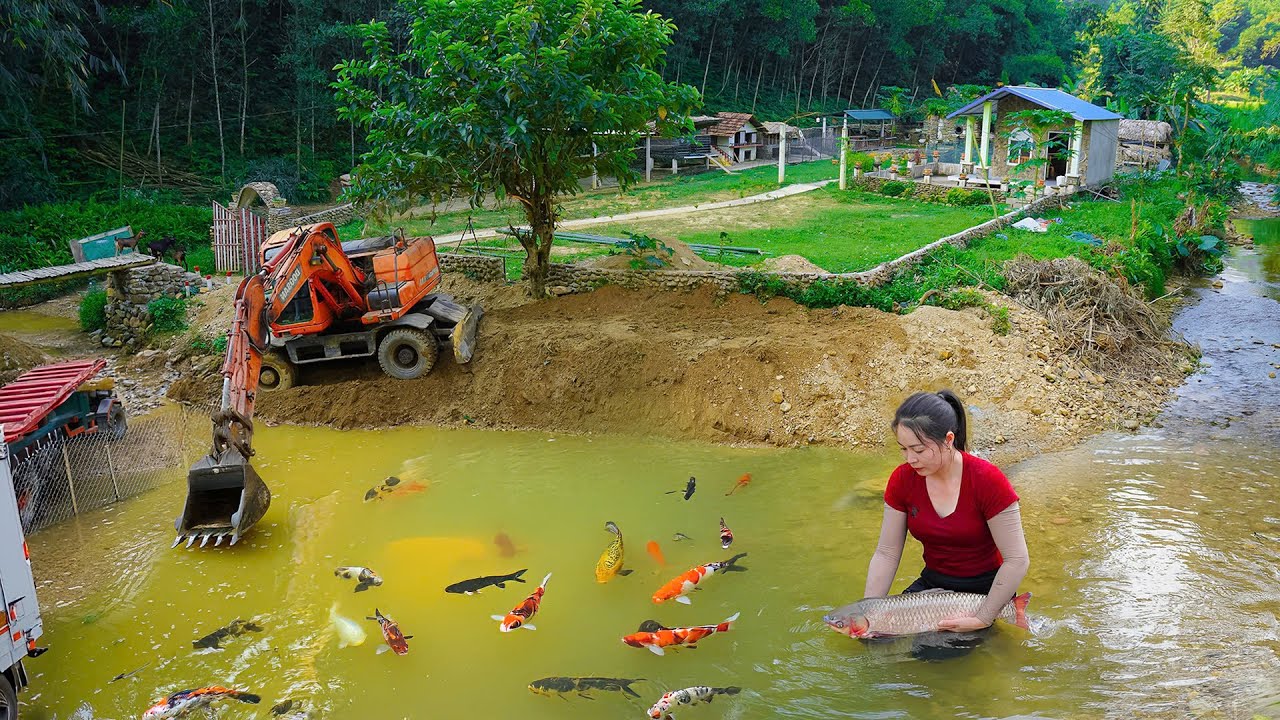 Transport Sand with Truck and Excavator - Install Iron Fence - Buy Fish - Farm Life | Đào Daily Farm