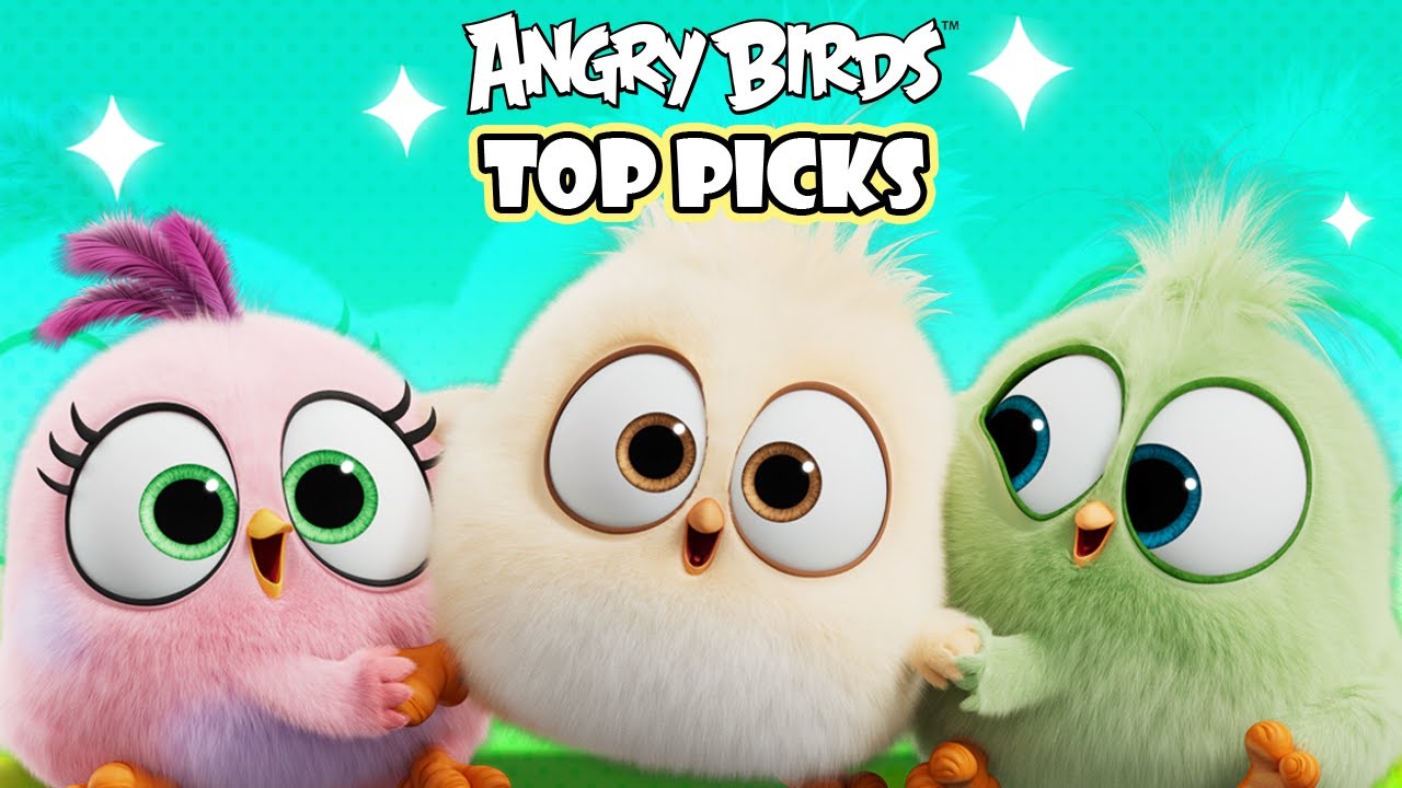 Angry Birds Top Favorite Picks 🌴