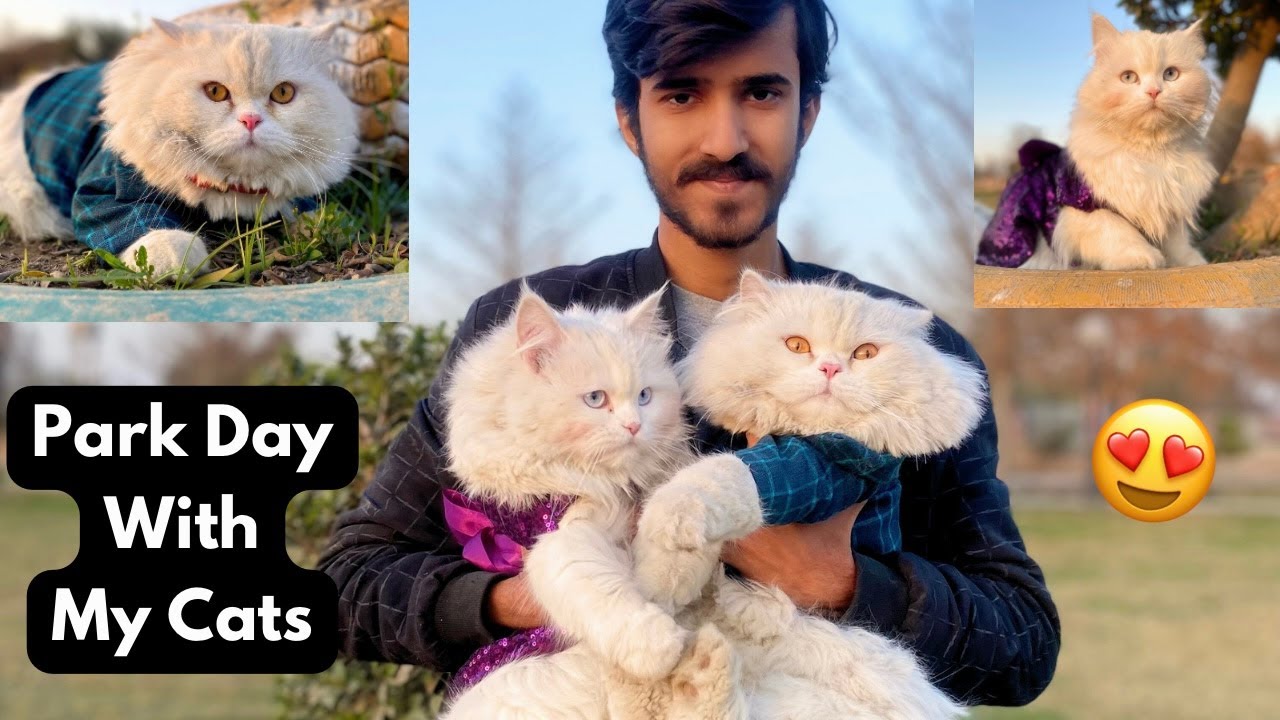 Park Vlog 😍|| Max gum ho gaya😰 |Muffin ka reaction 🤦‍♂