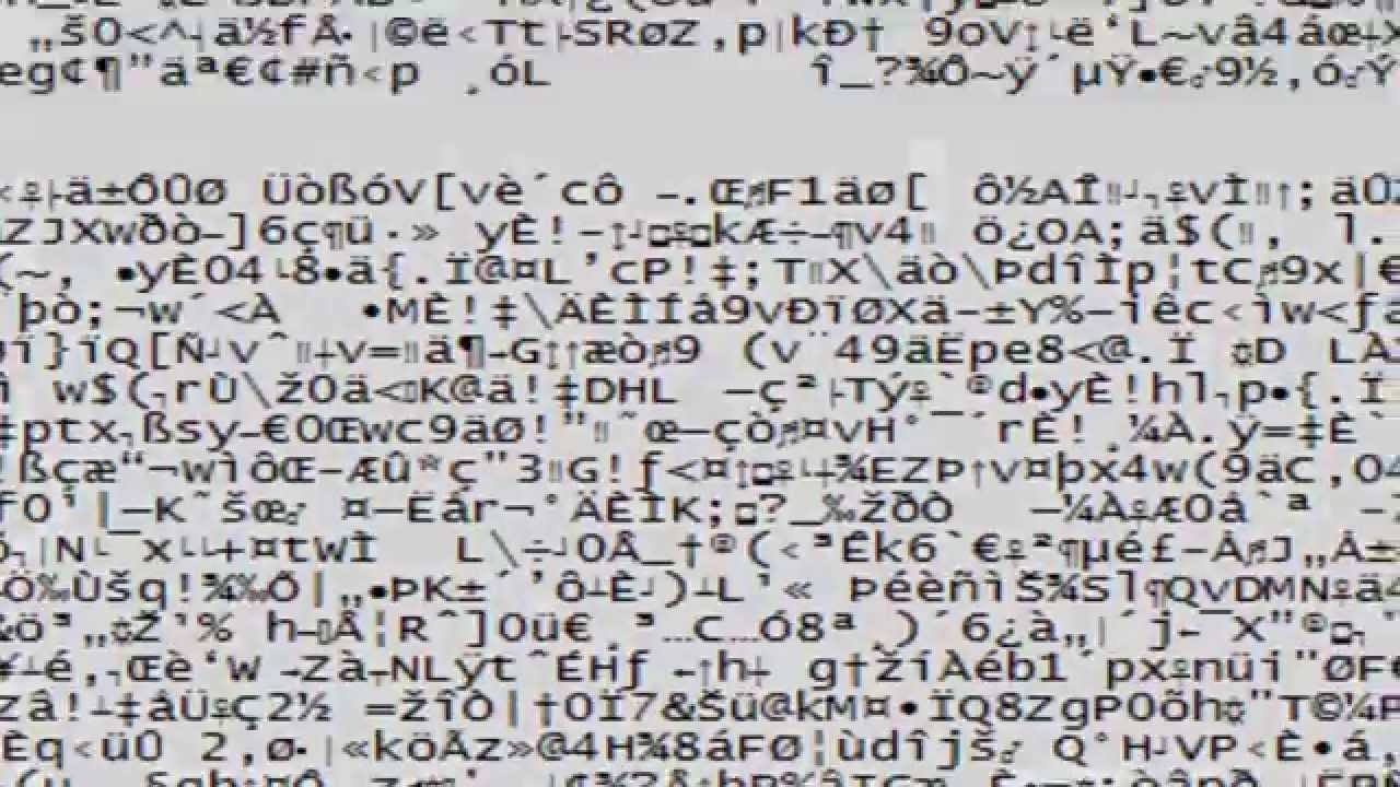 Hacker OWNED by Duke