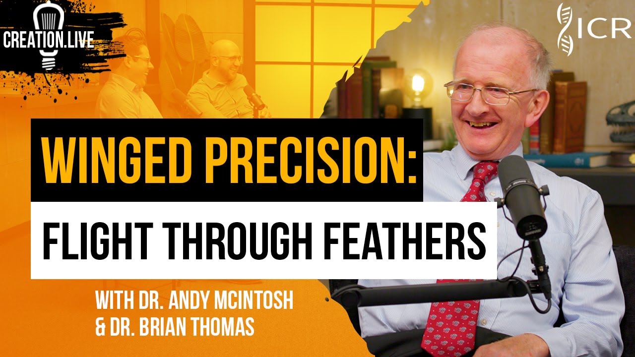The Fascinating Feathers of Our Flying Friends