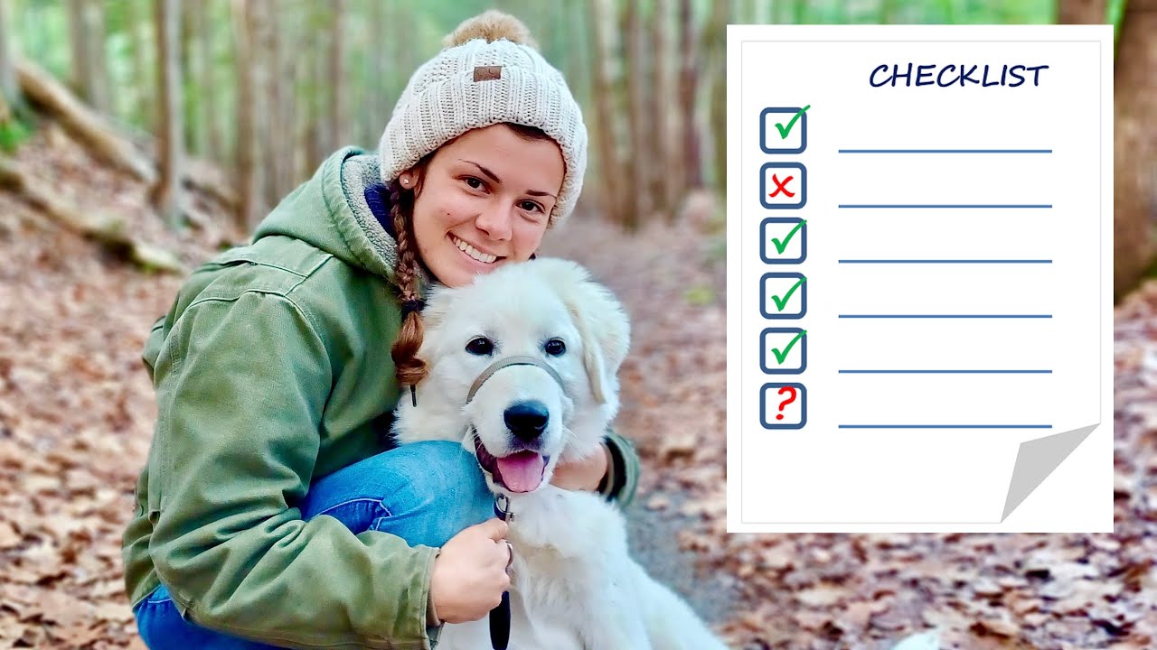 How We Chose Our LGD Puppy