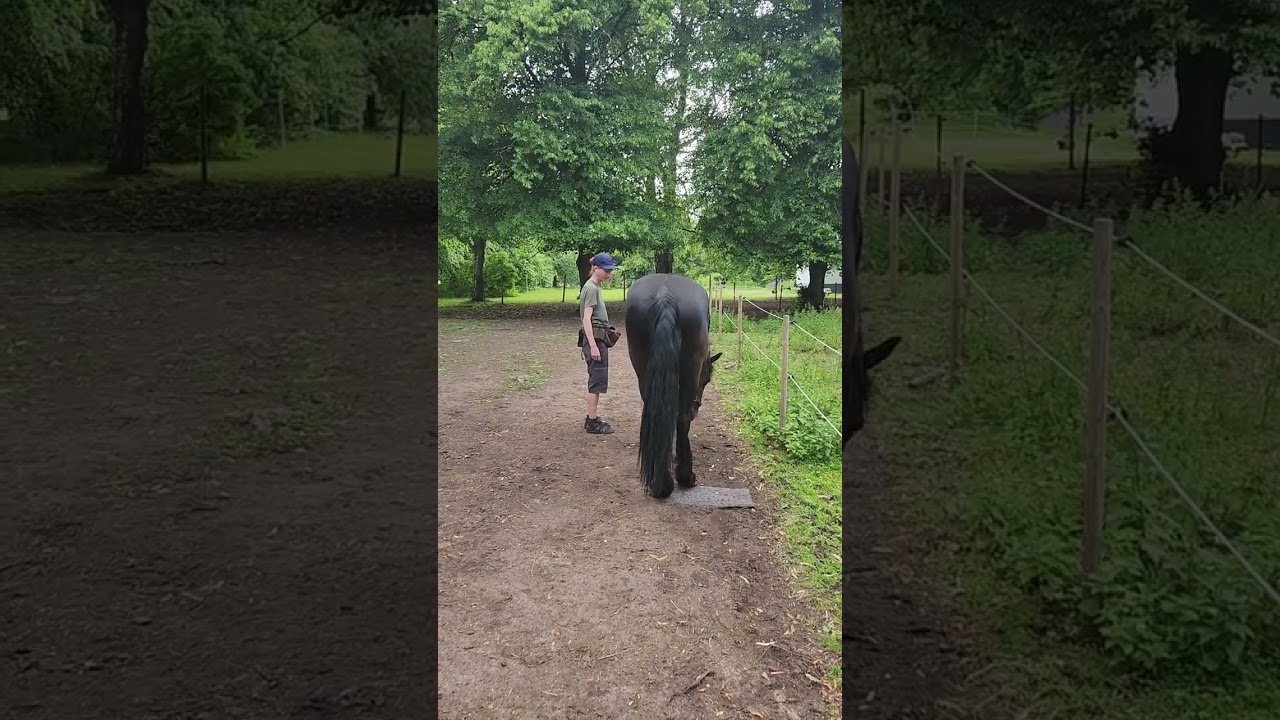 Snedhet i backning 1