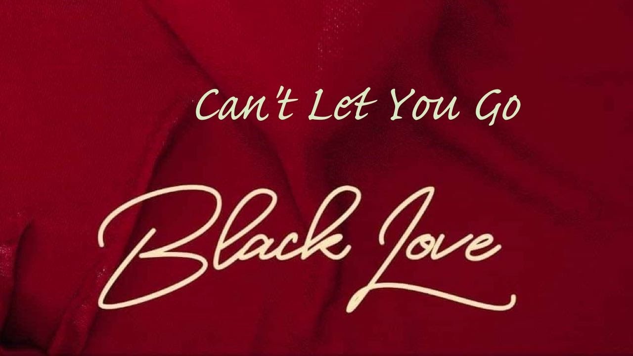 Sarkodie - Can't Let You Go ft. King Promise (Audio Slide)