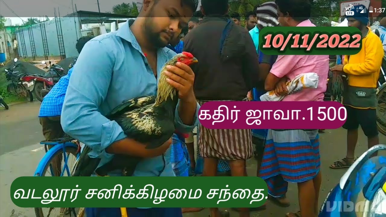 வடலூர் கோழி சந்தை விலை நிலவரம் /10/12/2022. சனிக்கிழமை. vadalur henmarket# 🐓