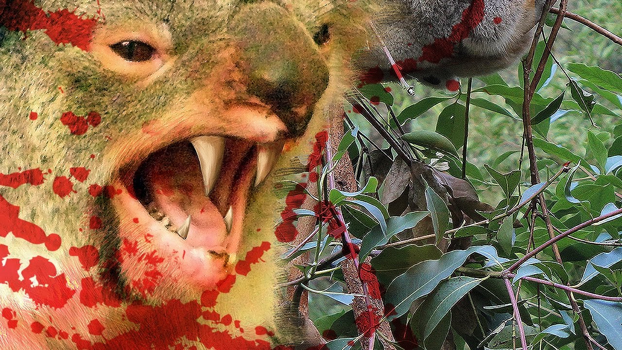 10 FAMOUS AUSTRALIAN CRYPTIDS