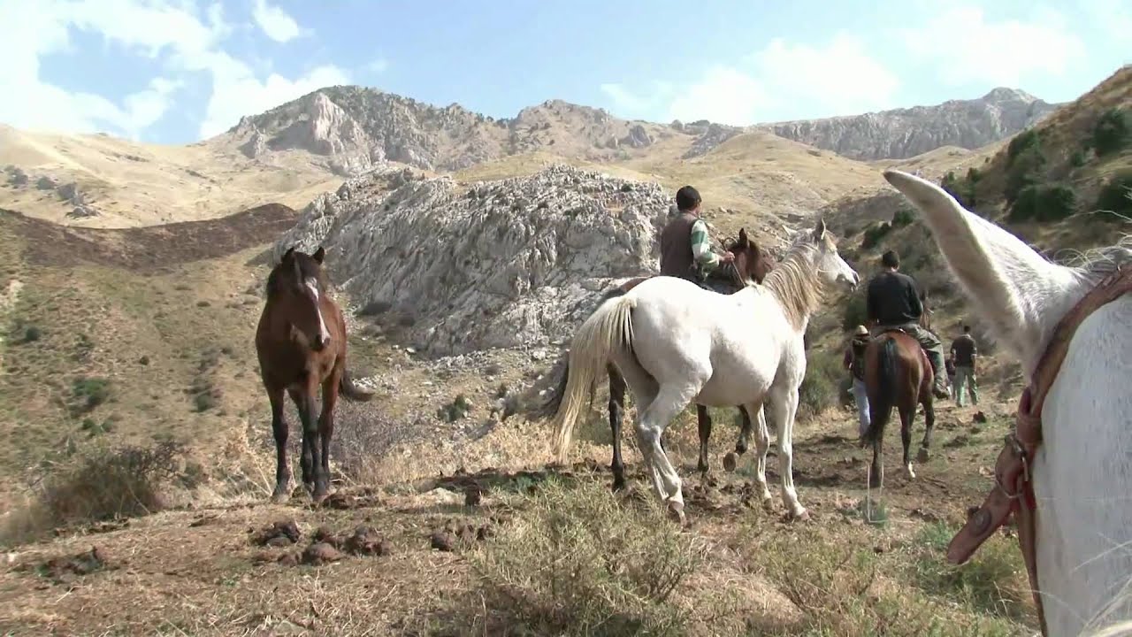 Documentaire Les Bergers du Djurdjura