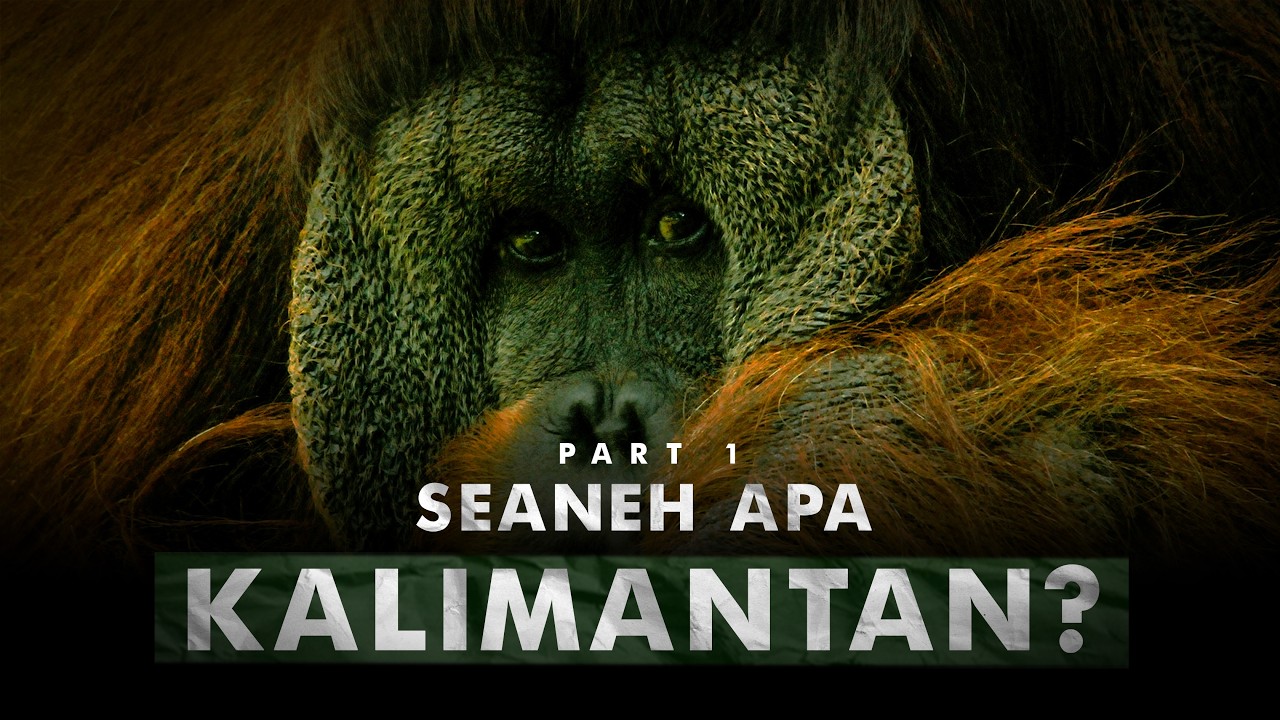 Alam Liar Terakhir Pulau Terbesar Ketiga | Pulau Kalimantan – Part 1