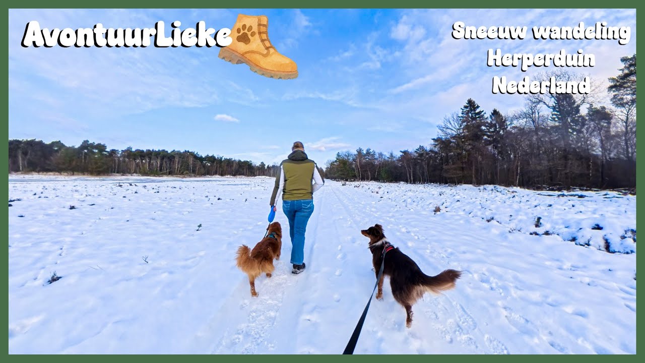 Struinen door de sneeuw in Herperduin 🐾 AvontuurLieke