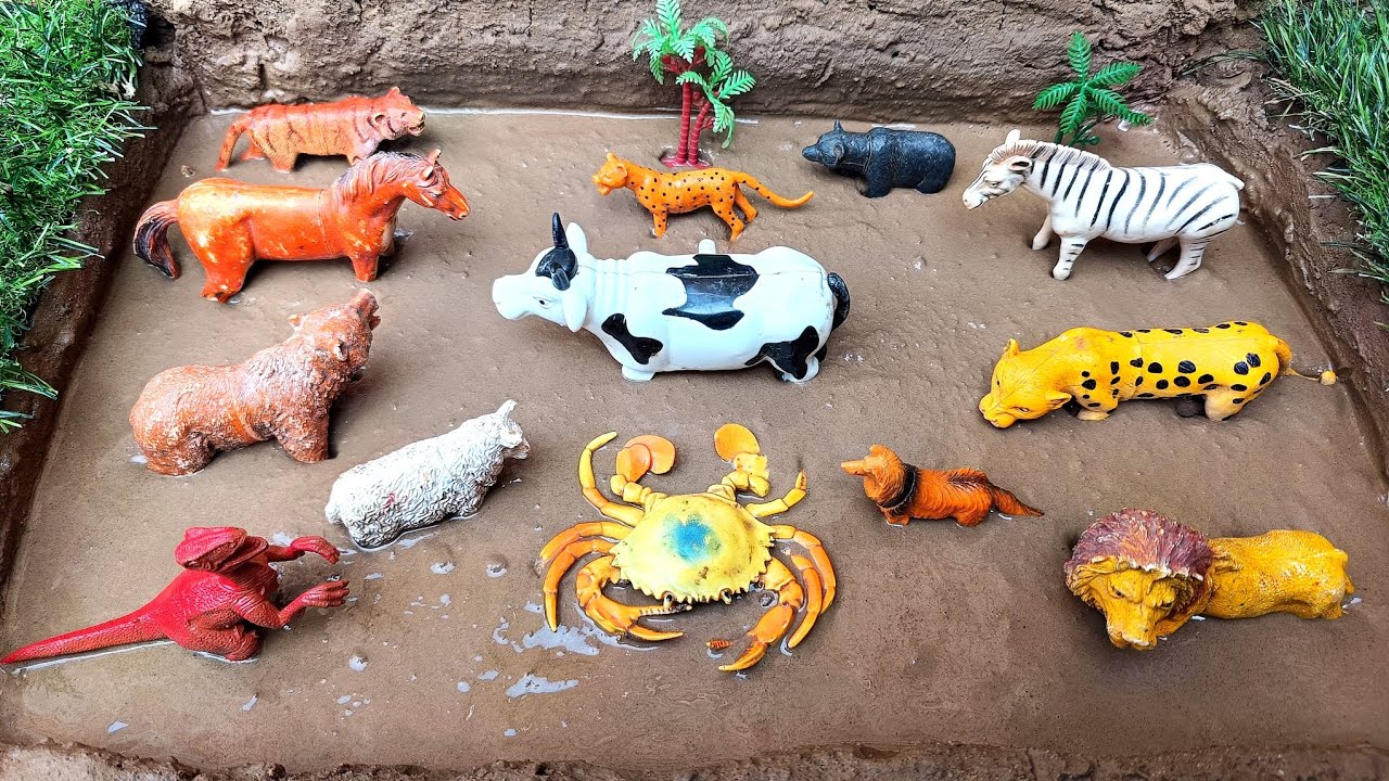 Satisfying Toy Animals Cleaning Zebra, Cheetah, Bear, Horse, Krab, Fox, Lion, Dinosaur Tiger and Cow