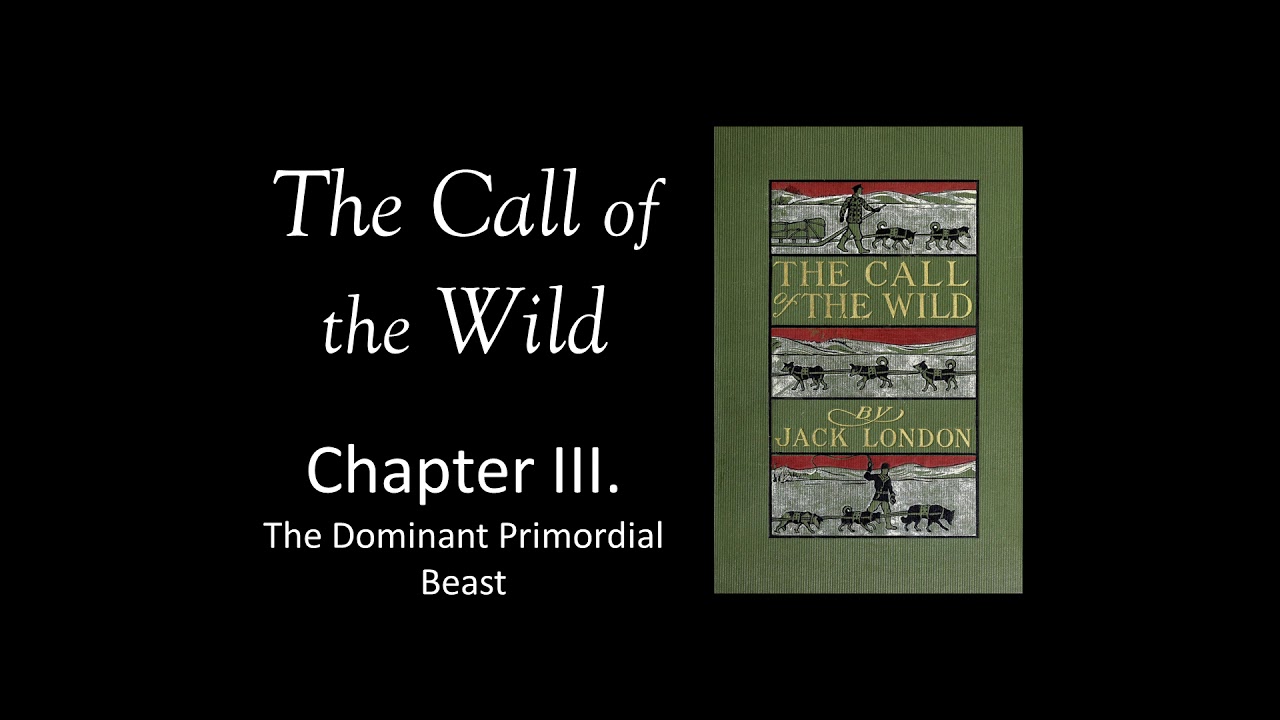 The Call of the Wild Audio Book - Chapter 3