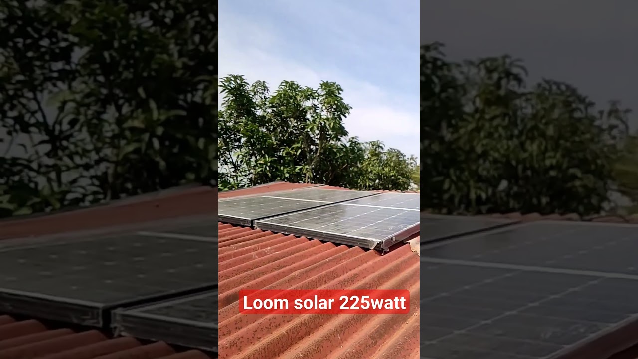 #loom solar panel 225watt #solar #solarpanel