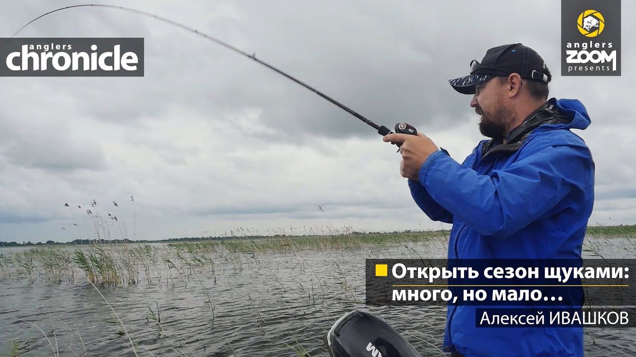 Открыть сезон щуками: много, но мало… Алексей Ивашков. Anglers Chronicle