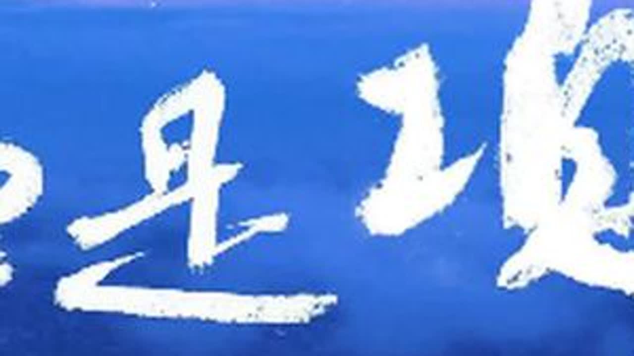 这里是项城！我们一同看这片大地上的生态宜居，产业发展#项城 #这里是项城