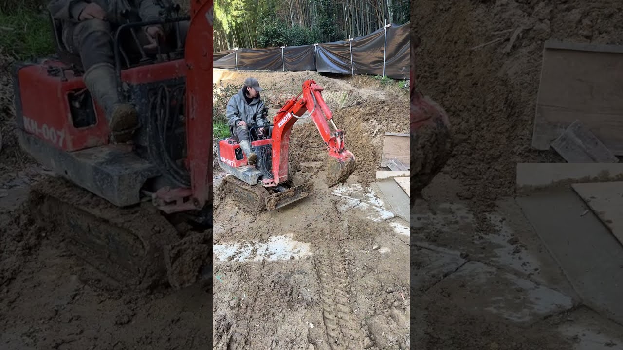 Live: Battle of the Backyard: Excavator vs Nature #137 | God of Ruin akkiro0m