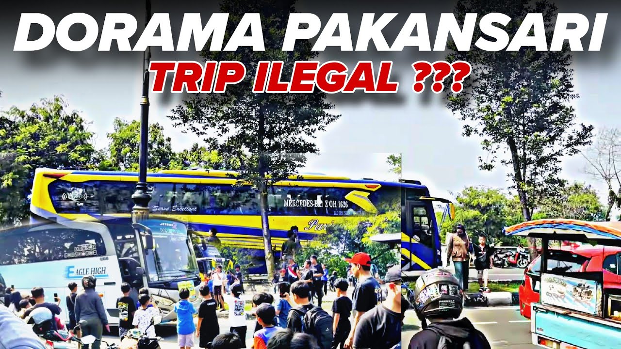 TRIP BUS PAKANSARI ILEGAL ‼️BANYAK DORAMA NYA SAMPAI PINDAH TEMPAT BERKALI KALI