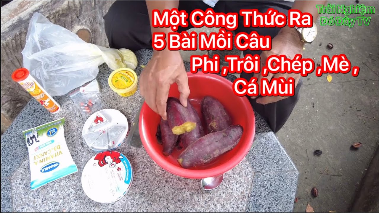 Hướng Dẫn làm mồi câu cá Phi Một công thức ra 5 bài Mồi Không Phải Ai Củng Biết