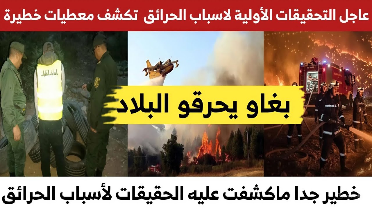 التحقيقات الأولية تكشف معطيات خطيرة حول أسباب اندلاع الحرائق