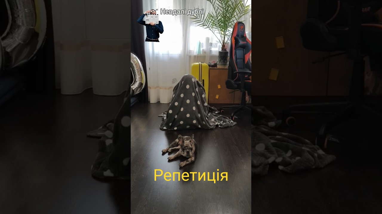 #бекстейдж #mems #bekstejdz