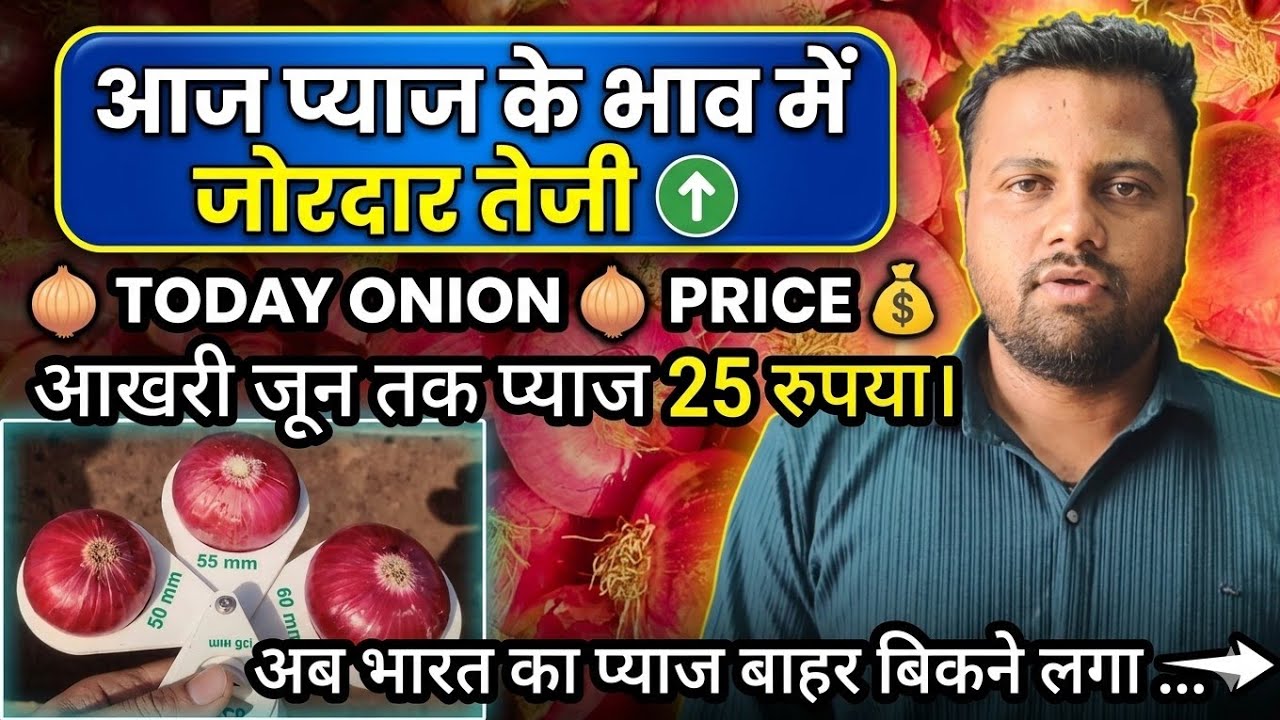 TODAY ONION PRICE। आज प्याज में तेजी का माहौल। कल से 2 रुपया तेज।#onionmarket 