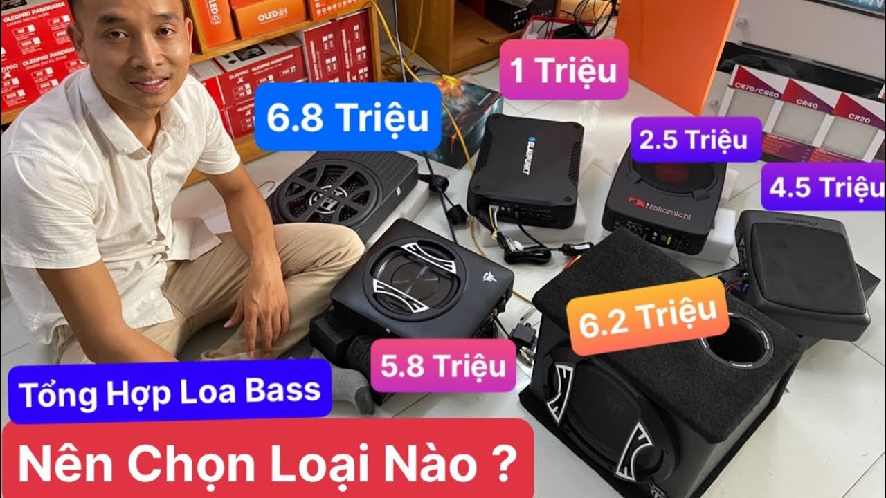 Loa Sub Bass Ô Tô Có Bao Nhiêu Loại ? Giá Bao Nhiêu ? Nên Chọn Quả Nào Nhất ?