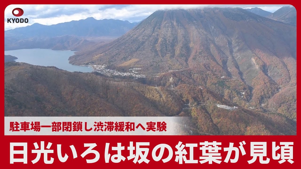 日光いろは坂の紅葉が見頃  駐車場一部閉鎖、渋滞緩和へ実験
