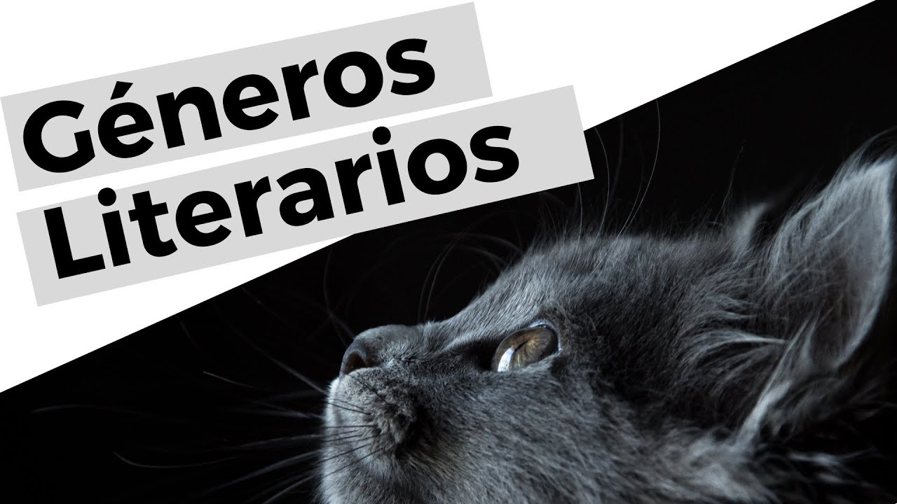 GÉNEROS LITERARIOS | ¿Qué es un género literario y cuál es su clasificación? 📚