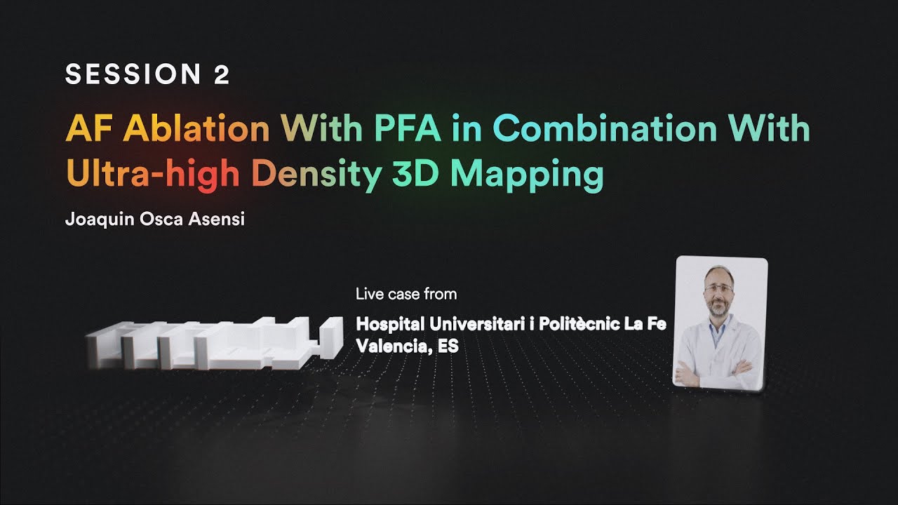 Innovative AF Ablation: PFA and Ultra-High Density 3D Mapping Combined