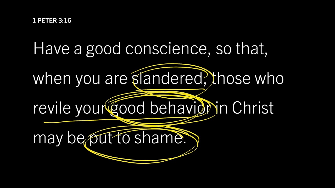 Show the World a Life Worth Living: 1 Peter 4:3–4, Part 2